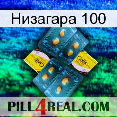 Низагара 100 cialis5